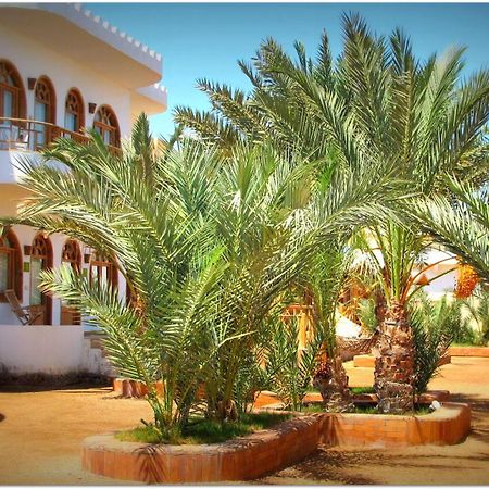 Shams Hotel & Dive Centre Dahab Dış mekan fotoğraf
