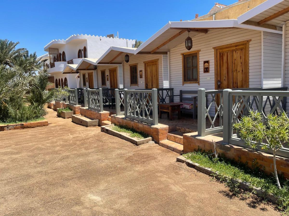 Shams Hotel & Dive Centre Dahab Dış mekan fotoğraf