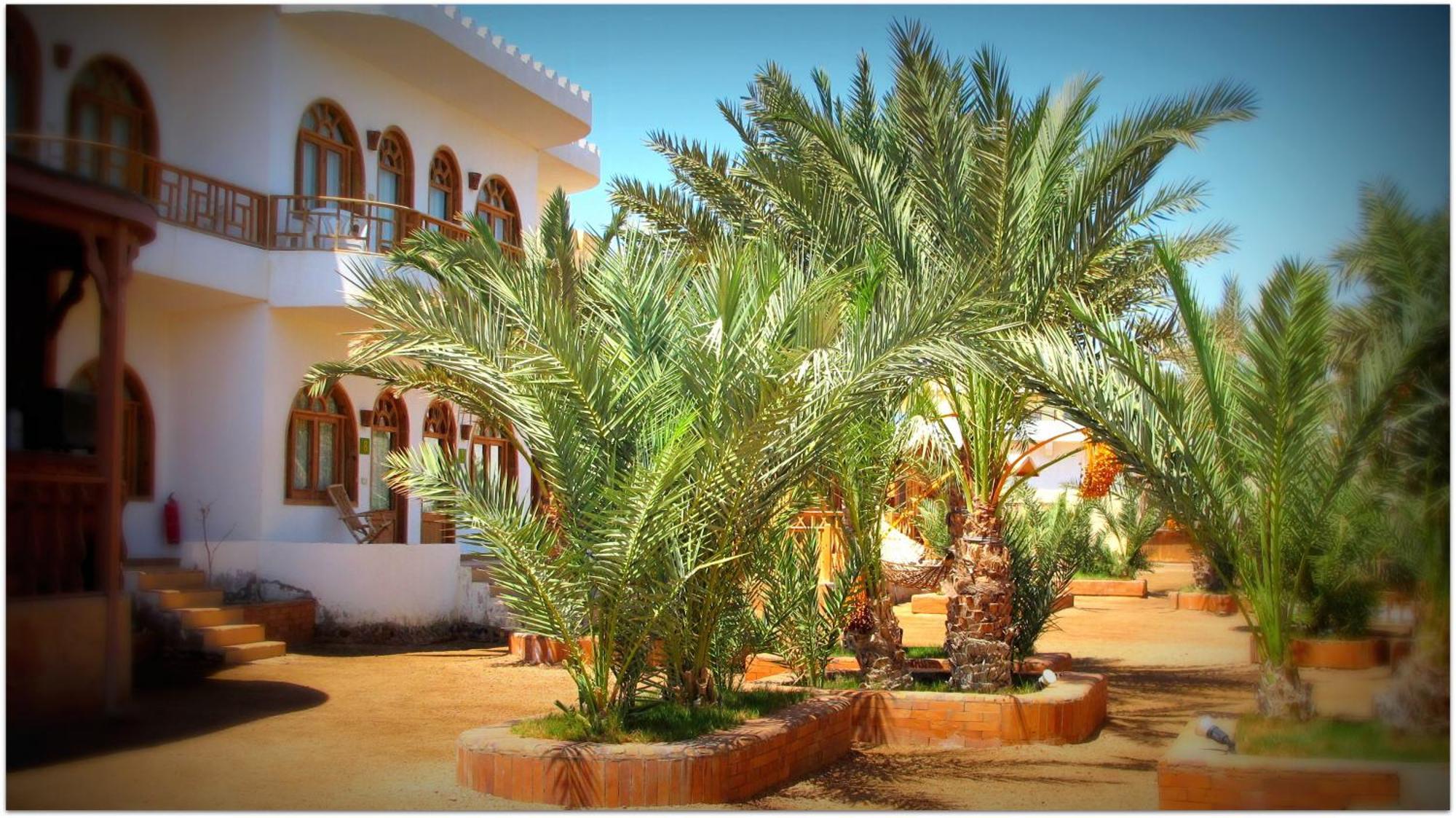 Shams Hotel & Dive Centre Dahab Dış mekan fotoğraf